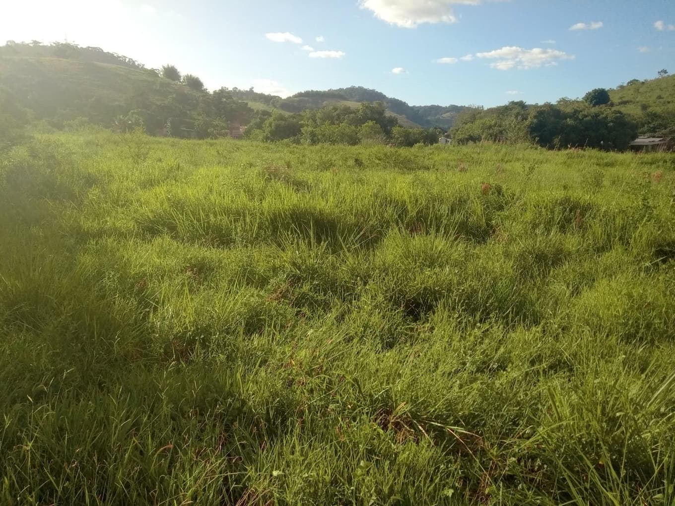 Foto 37 de 61: Terreno em leilão em Muriaé - MG, bairro Sofocó — IMÓVEL URBANO COM ÁREA TOTAL DE 48.206,32 m2- Em MURIAÉ/MG