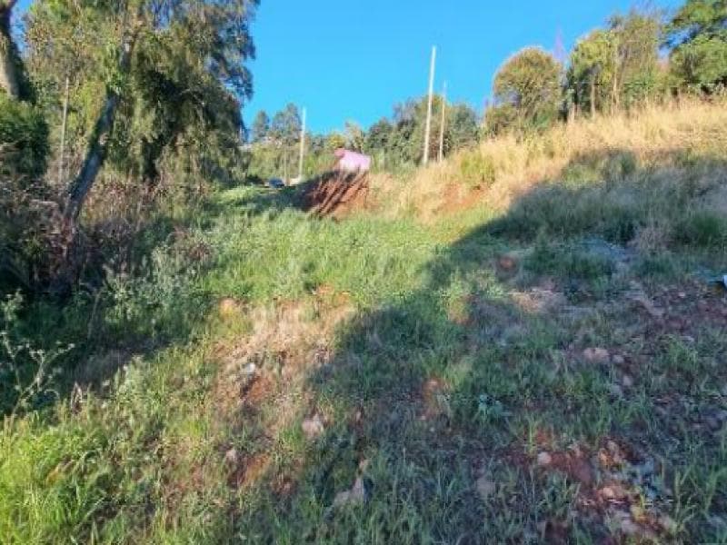 Foto 2 de 8: Terreno em leilão em Cordilheira Alta - SC, bairro Interior — Lote, 300.0 m2, Cordilheira Alta / SC