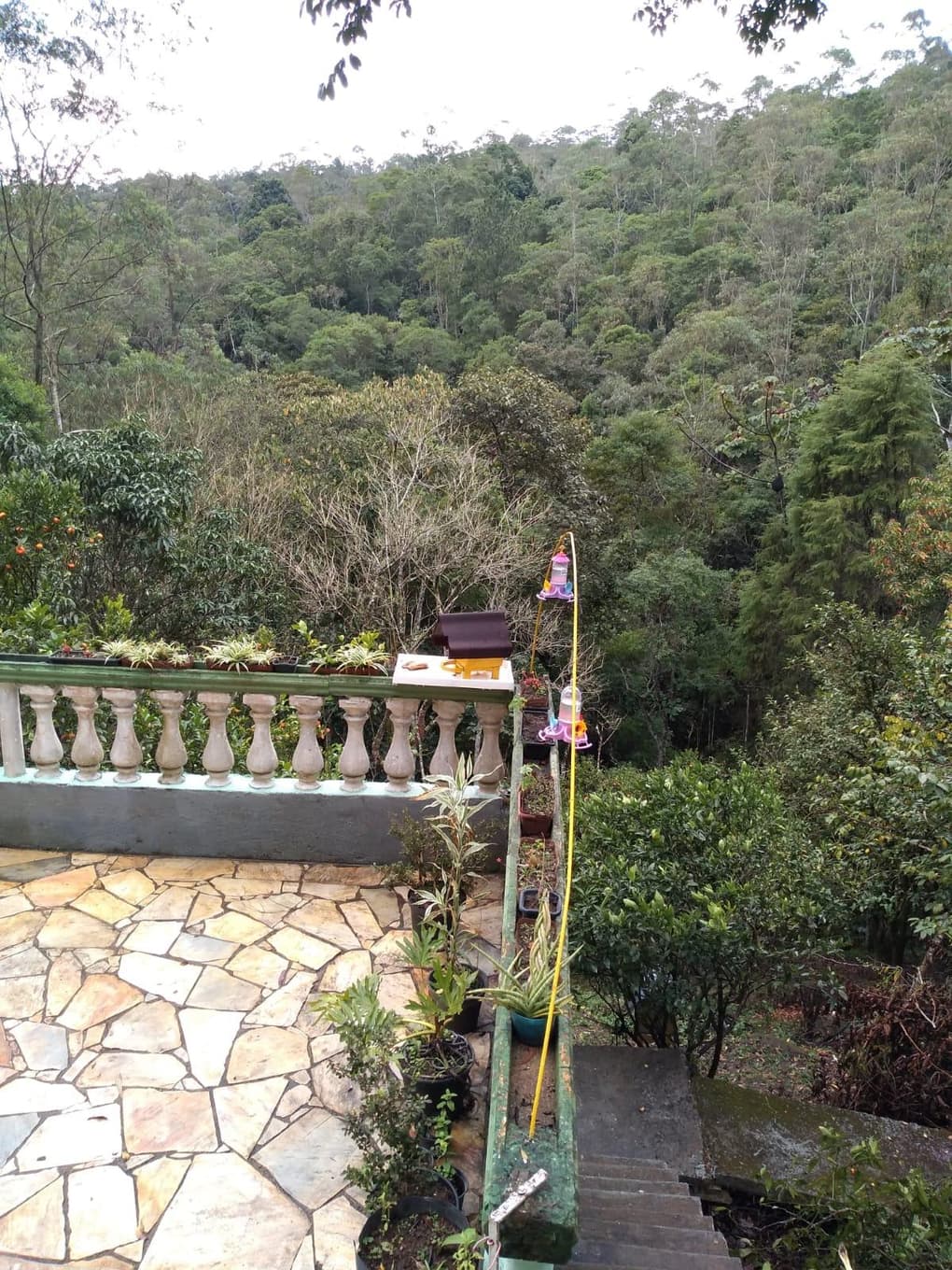 Foto 9 de 15: Casa em leilão em São Lourenço Da Serra - SP — VENDA DIRETA - ACEITANDO PROPOSTAS: CHÁCARA 211m² COM PISCINA E 410 FRUTÍFERAS EM SÃO LOURENÇO DA SERRA