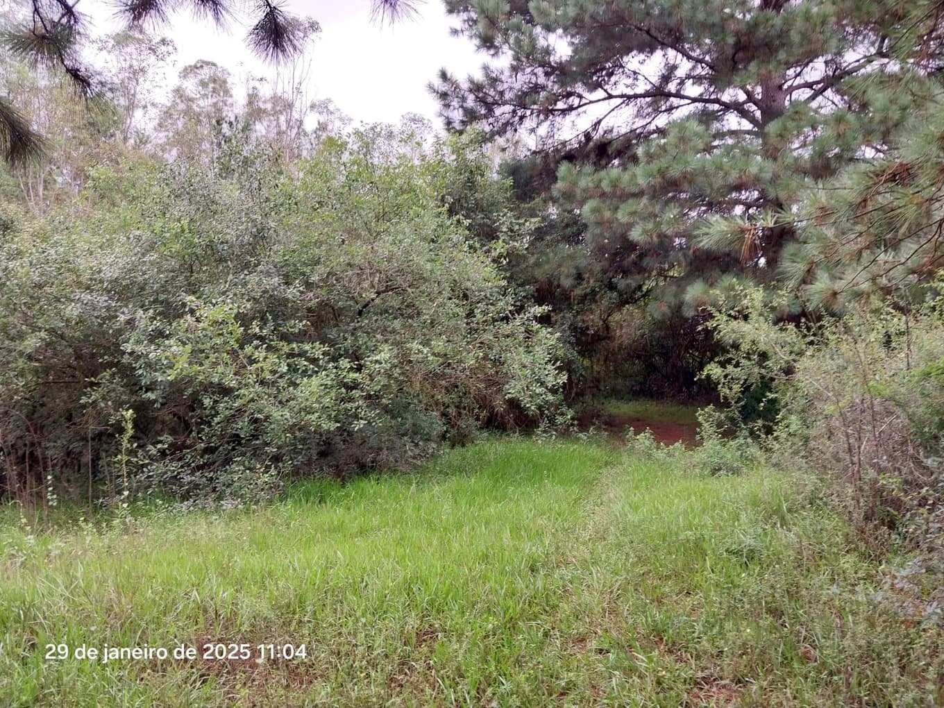 Foto 12 de 16: Terreno em leilão em Ponta Grossa - PR, bairro Colônia Dona Luiza — Terreno urbano, com área de terreno total de 10.260,00m², Ponta Grossa/PR