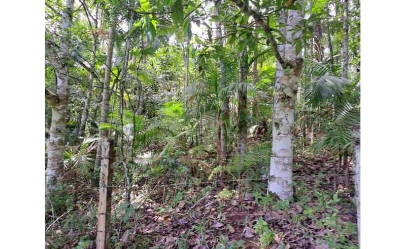 Foto 14 de 27: Terreno em leilão em Blumenau - SC — Imóvel urbano com área total de 35.820,27 m² em Blumenau/SC