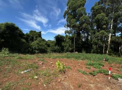 Foto 4 de 6: Imóvel em leilão em Constantina - RS, bairro Loteamento Belohorizonte — IMÓVEL URBANO COM ÁREA TOTAL DE 1.579,13m2 EM CONSTANTINA-RS