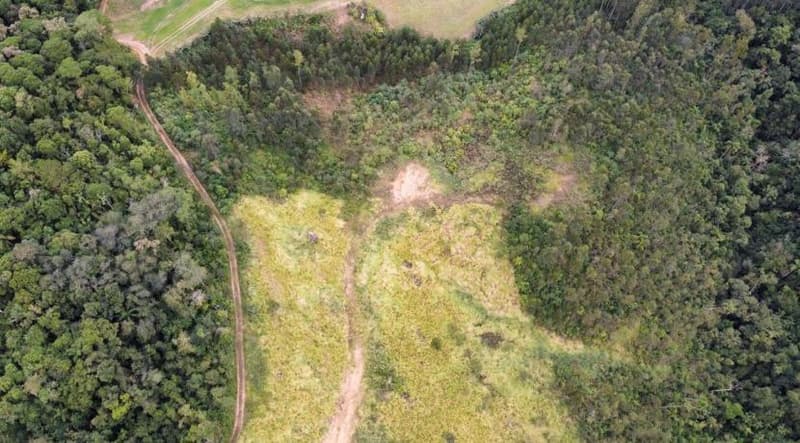 Foto 3 de 8: Area Rural em leilão em Rio Fortuna - SC — IMÓVEL RURAL COM ÁREA TOTAL DE 67.203,66m2, EM RIO FORTUNA-SC