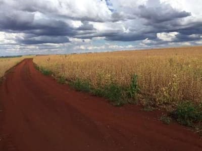 Terreno em leilão em Rolândia - PR — Fração ideal de 1/8 de 3,3333 do imóvel: Lote de Terras com área de 80.665,86 m², Rolândia/PR
