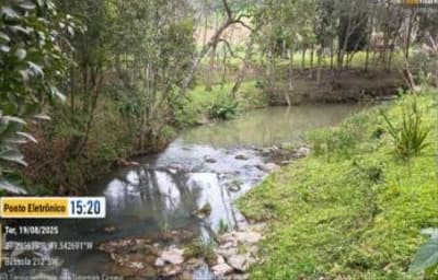Foto 2 de 51: Terreno em leilão em Aurora - SC, bairro Área Rural — IMÓVEL RURAL COM ÁREA TOTAL DE 11,516 ha- Em AURORA/SC