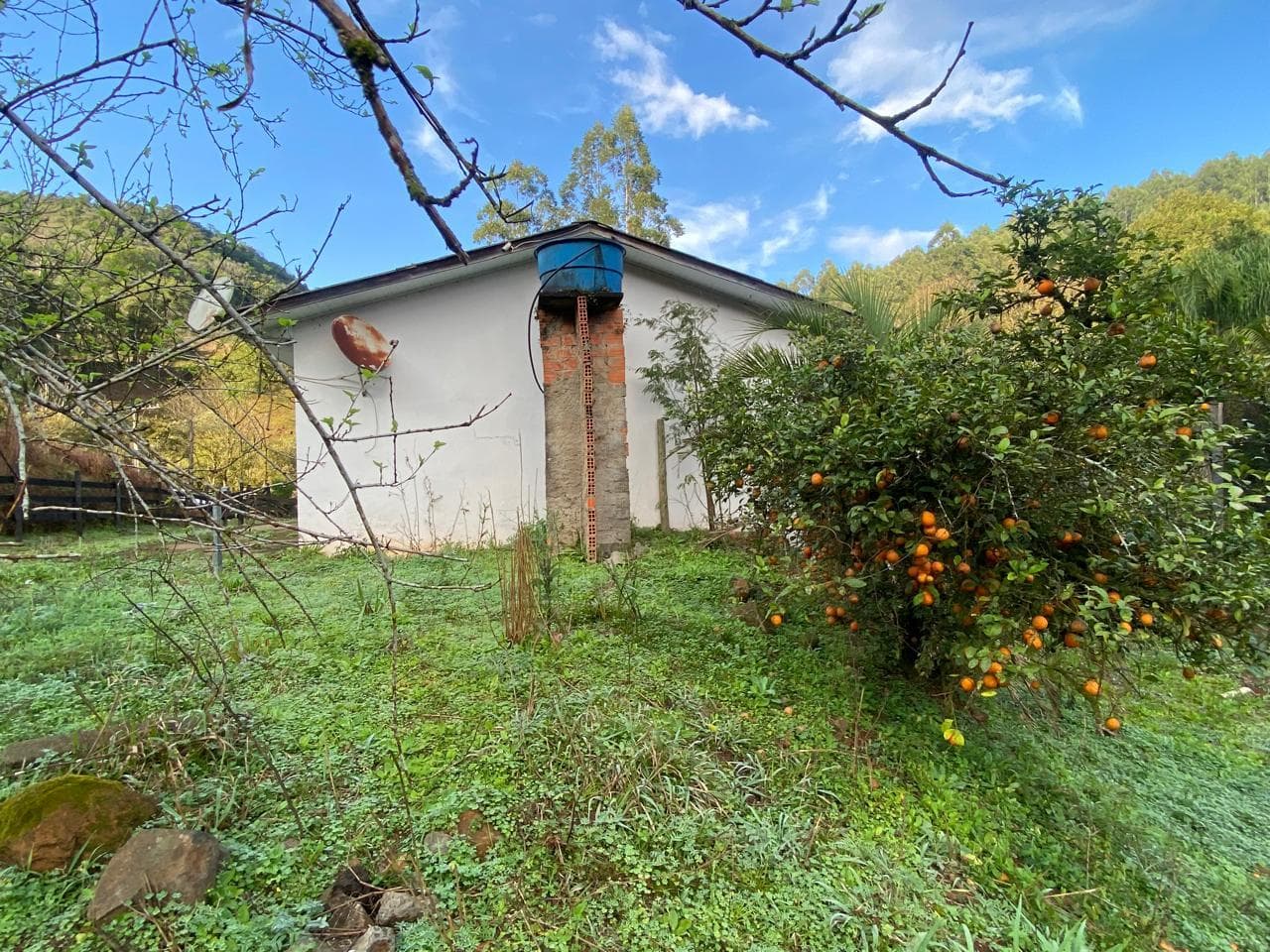 Foto 11 de 23: Terreno em leilão em Concórdia - SC — IMÓVEL RURAL COM ÁREA TOTAL DE 11.005,95m2, EM CONCÓRDIA-SC