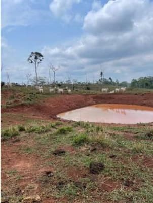 Foto 2 de 6: Area Rural em leilão em Alta Floresta D'oeste - RO — IMÓVEL RURAL| A.T. 12,10 HA SÍTIO STO. ANTÔNIO SETOR RIO BRANCO | ALTA FLORESTA DOESTE/RO