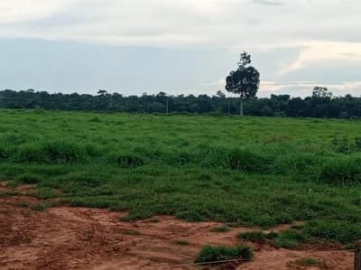 Foto 2 de 5: Area Rural em leilão em Porto Dos Gaúchos - MT — IMÓVEL RURAL | 25 HA | ESTÂNCIA BLAU II - EM PORTO DOS GAÚCHOS/MT