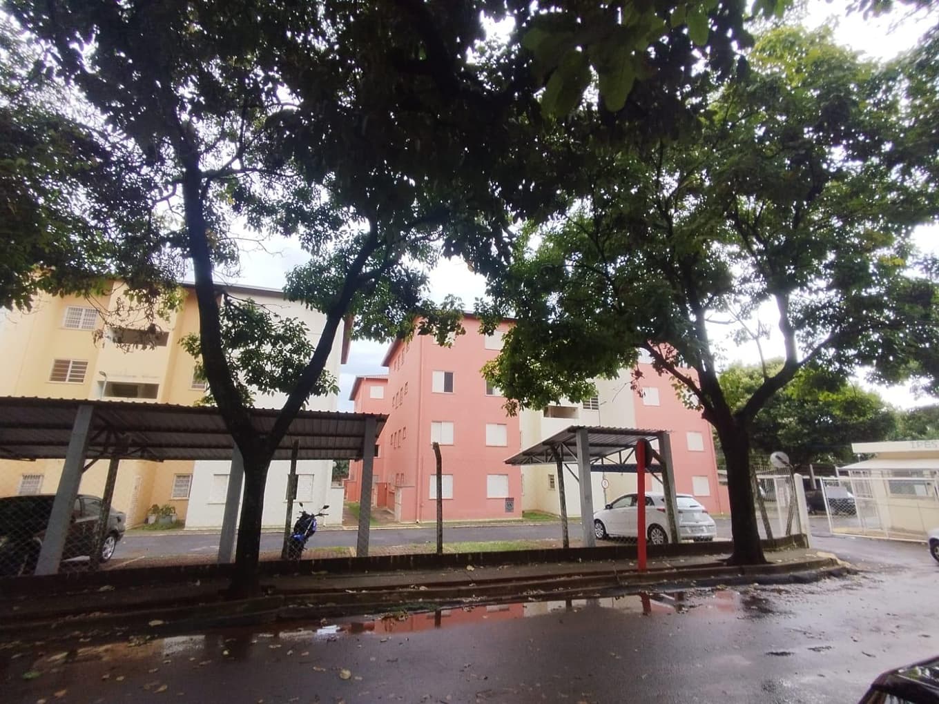 Foto 6 de 12: Apartamento em leilão em Araraquara - SP — Apartamento, Ocupado, Araraquara / SP (50% abaixo da avaliação)