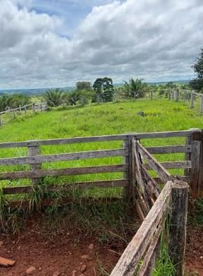 Foto 4 de 5: Area Rural em leilão em Alta Floresta D'oeste - RO — IMÓVEL RURAL| A.T. 12,10 HA SÍTIO STO. ANTÔNIO SETOR RIO BRANCO | ALTA FLORESTA DOESTE/RO
