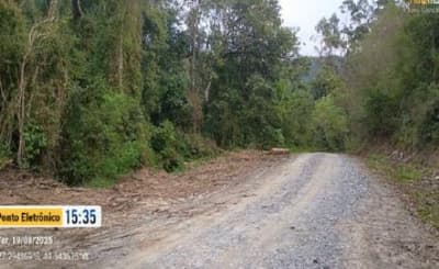 Foto 12 de 14: Terreno em leilão em Aurora - SC — TERRENO RURAL COM ÁREA DE 11,516 HA, EM AURORA-SC