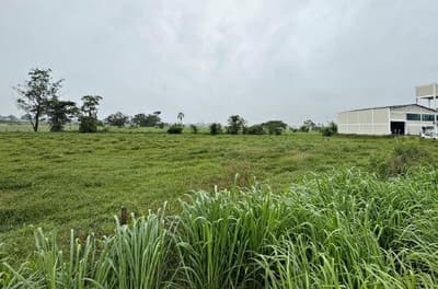 Foto 2 de 4: Terreno em leilão em Gaspar - SC — Terreno com área de 4.561,35m², Gaspar/SC