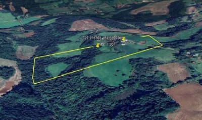 Foto 10 de 11: Terreno em leilão em Pinheirinho Do Vale - RS — Imóvel rural com área total de 10,80 hectares - Pinheirinho do Vale/RS.
