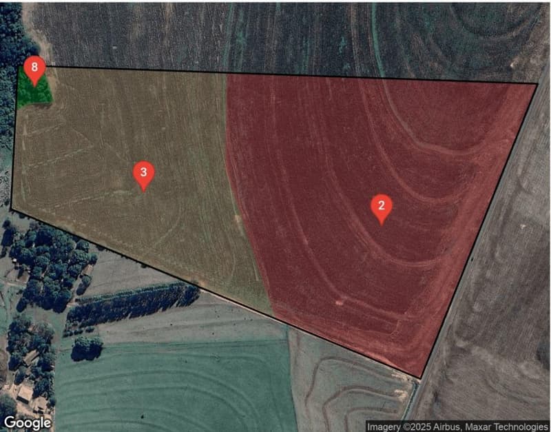 Area Rural em leilão em Terra Roxa - PR — IMÓVEL RURAL COM ÁREA DE 17.55ha EM TERRA ROXA-PR