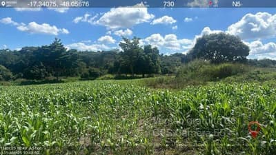Foto 3 de 6: Area Rural em leilão em Ipameri - GO — IMÓVEL RURAL | A.T. 71,4524 HA FAZ. SANTA ROSA | IPAMERI/GO - LEILÃO EMPRESARIAL SISTÊMICO SICREDI