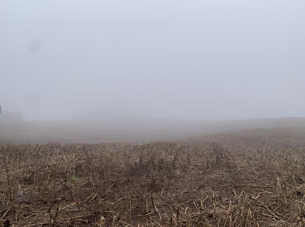 Foto 7 de 12: Area Rural em leilão em Viadutos - RS — IMÓVEL RURAL COM ÁREA TOTAL DE 13,18750 HA EM VIADUTOS-RS