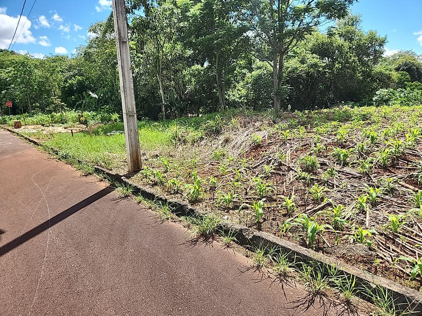 Foto 2 de 3: Terreno em leilão em Dois Vizinhos - PR — LOTE URBANO Nº 01 DA QUADRA Nº 10 LOCALIZADO NO LOTEAMENTO REALIZE II EM DOIS VIZINHOS/PR - ÁREA DE 414,10M²
