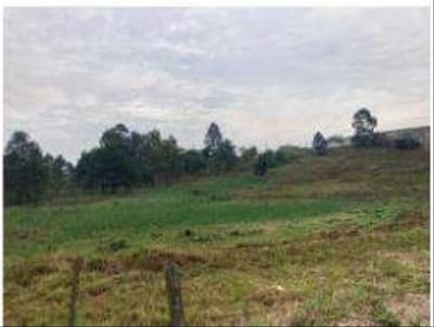 Terreno em leilão em Araucária - PR, bairro Thomaz Coelho — 41 Lotes de terreno, sem benfeitorias, que somam área de 34.282,56m², Araucária/PR - Recuperanda COCELPA