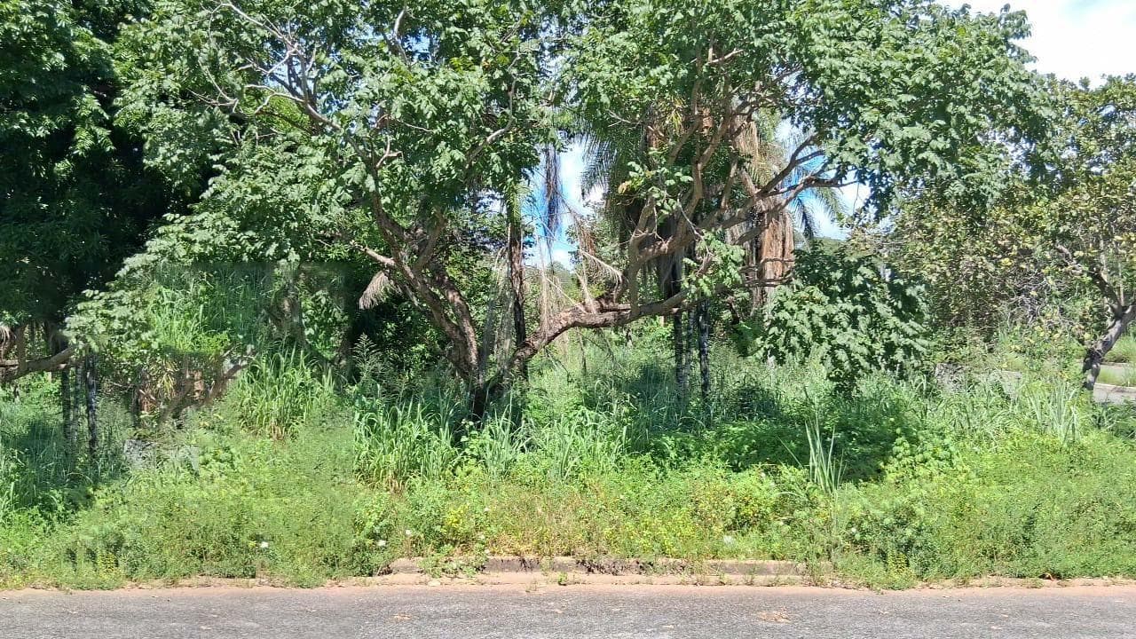 Foto 7 de 7: Terreno em leilão em Minaçu - GO, bairro Vila Residencial de Minaçu — Terreno Urbano 432m² | Vila Residencial de Minaçu - Minaçu/GO | Localização Nobre e Infraestrutura Completa: Ideal para Construção e Investimento!