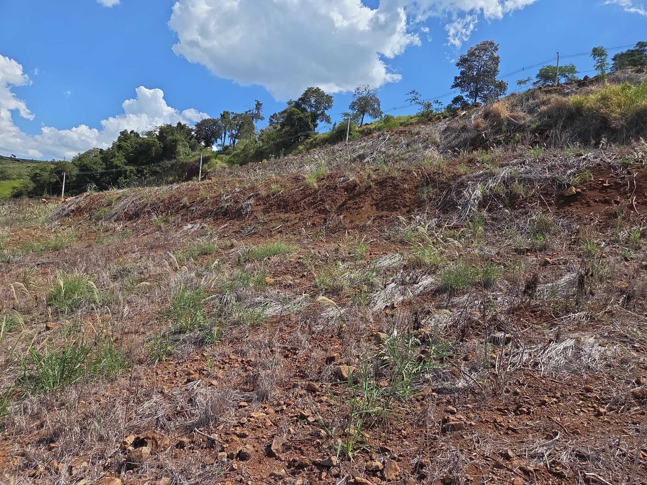 Foto 4 de 5: Terreno em leilão em Nova Prata Do Iguaçu - PR, bairro Distrito Turístico — LOTE URBANO Nº 10, QUADRA Nº 06 DO LOTEAMENTO PASTÓRIO DO MUNICÍPIO DE NOVA PRATA DO IGUAÇU/PR ÁREA DE 2.809,72M²