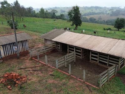 Foto 1 de 6: Area Rural em leilão em Pérola - PR — IMÓVEL RURAL COM ÁREA TOTAL DE 84.700 m2- Em PÉROLA/PR