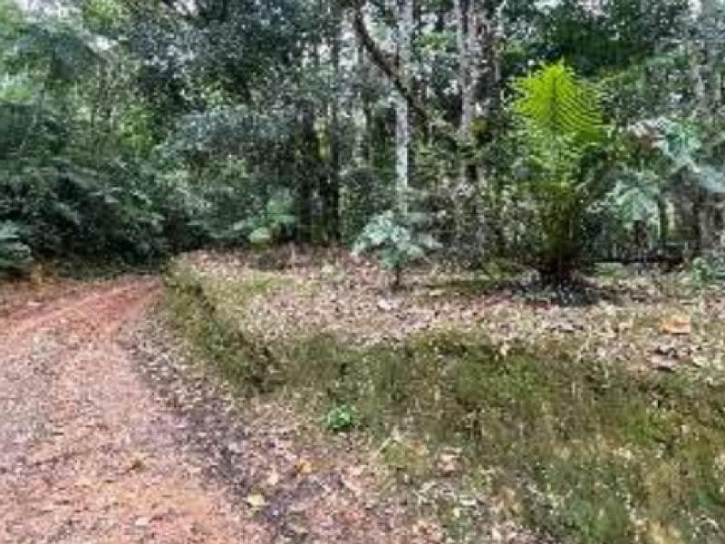 Foto 5 de 7: Terreno em leilão em Blumenau - SC, bairro Progresso — Lote, 45.38 ha, Blumenau / SC