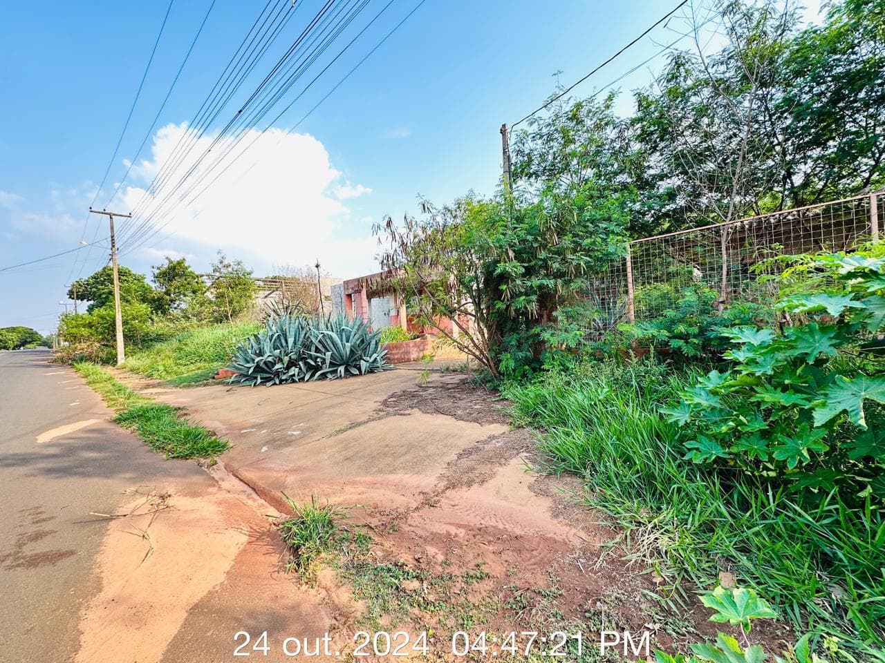 Foto 4 de 28: Comercial em leilão em Umuarama - PR — Galpão Industrial com área de 1.311m², área de terreno de 6.000m² - Umuarama/PR