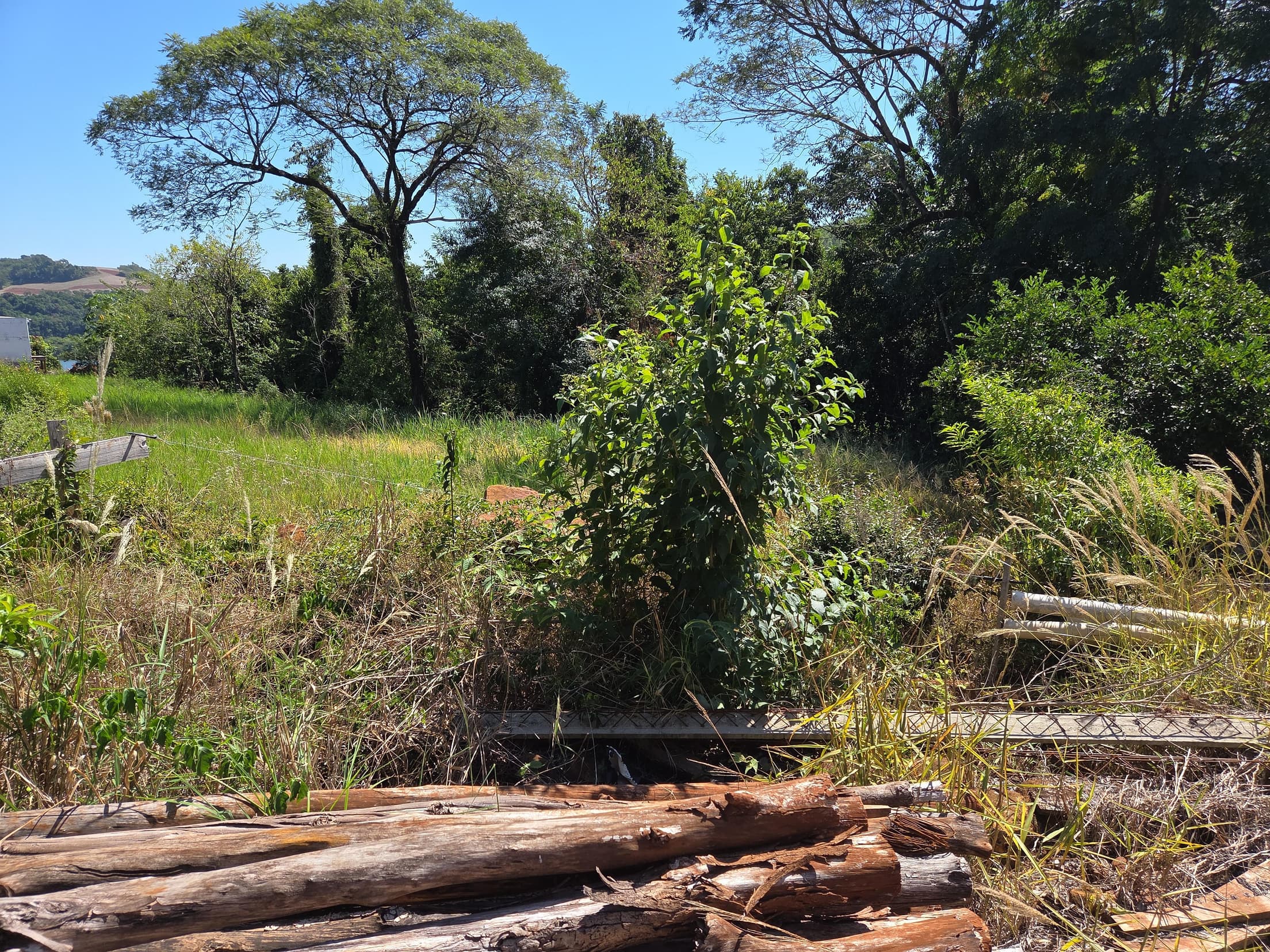 Foto 3 de 6: Terreno em leilão em Nova Prata Do Iguaçu - PR, bairro Distrito Turístico — LOTE URBANO Nº 11, QUADRA Nº 06 DO LOTEAMENTO PAINEIRA DO MUNICÍPIO DE NOVA PRATA DO IGUAÇU/PR ÁREA DE 897,59M²
