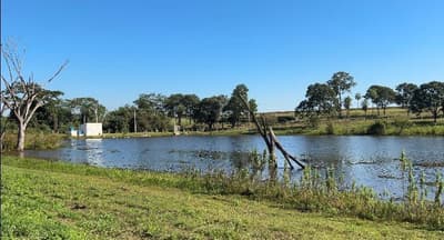 Foto 9 de 10: Area Rural em leilão em Itápolis - SP — Imóvel objeto da matrícula 10615 - 1° CRI Itápolis/SP