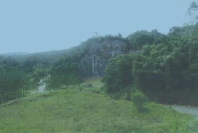 Foto 5 de 8: Area Rural em leilão em Bom Sucesso De Itararé - SP — Imóvel rural, A.T. 7,26 ha, Bairro Bom Sucesso, Sítio Ferraz