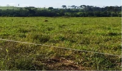 Foto 7 de 12: Area Rural em leilão em Aripuanã - MT — IMÓVEL RURAL | A.T. 797,7029HA ¿ FAZ. ÁGUA DA PRATA (DUPLA APTIDÃO) | ARIPUANÃ/MT