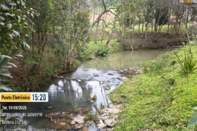 Foto 10 de 14: Terreno em leilão em Aurora - SC — TERRENO RURAL COM ÁREA DE 11,516 HA, EM AURORA-SC