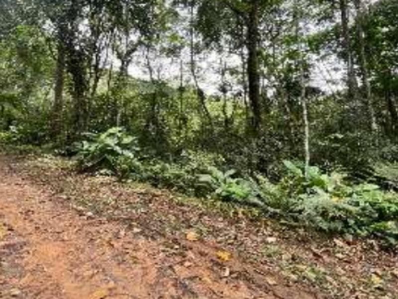 Foto 4 de 7: Terreno em leilão em Blumenau - SC, bairro Progresso — Lote, 45.38 ha, Blumenau / SC