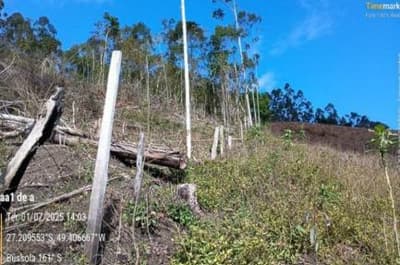 Foto 12 de 16: Terreno em leilão em Apiúna - SC, bairro São Jorge — IMÓVEL RURAL COM ÁREA TOTAL DE 21,291 ha- Em APIÚNA/SC