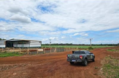 Foto 4 de 8: Area Rural em leilão em Vicentinópolis - GO — Lote Agrícola 317ha em Vicentinópolis/GO | Vizinho à Usina Caçu | Topografia Plana e Beira do Asfalto