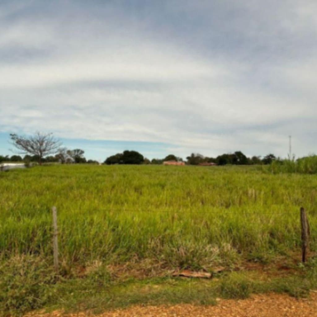Foto 5 de 6: Area Rural em leilão em Francisco Alves - PR — IMÓVEL RURAL COM ÁREA DE 2.15ha- Em FRANCISCO ALVES/PR