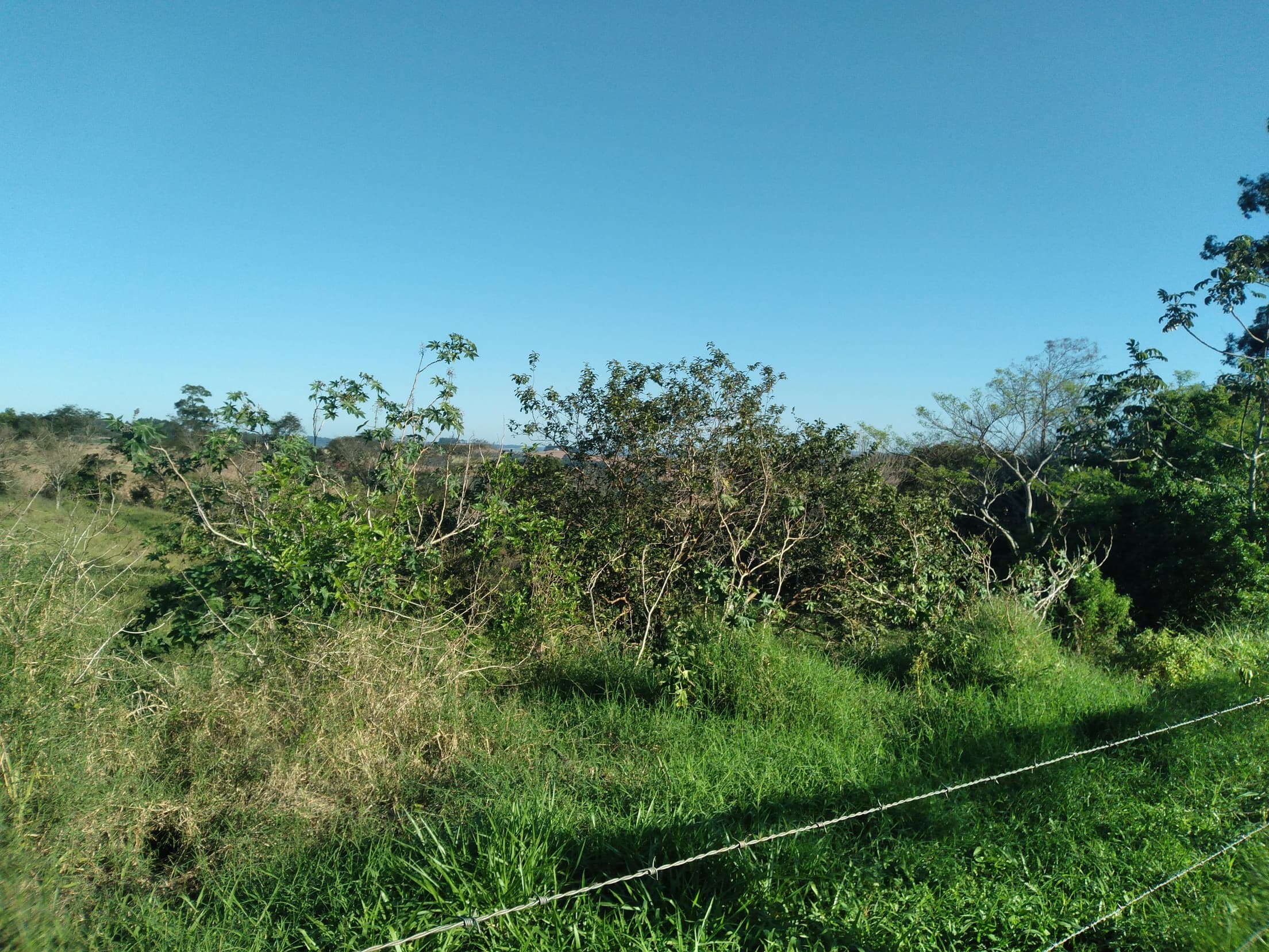 Foto 22 de 41: Area Rural em leilão em Capitão Leônidas Marques - PR — Gleba Urbana Desocupada 27.837m2 no Bairro São Gabriel em Capitão Leonidas Marques/PR