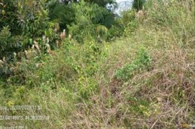 Foto 4 de 6: Terreno em leilão em Apiúna - SC — TERRENO URBANO COM ÁREA TOTAL DE 798,30 M2, EM APÍUNA-SC