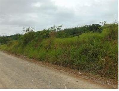 Terreno em leilão em Taió - SC, bairro Praia Vermelha — TERRENO RURAL com área total de 5.700 m²