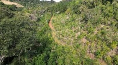 Foto 2 de 11: Area Rural em leilão em Quedas Do Iguaçu - PR, bairro Jardim Alegre — IMÓVEL RURAL COM ÁREA TOTAL DE 11,0255 hectares, EM QUEDAS DO IGUAÇU-PR