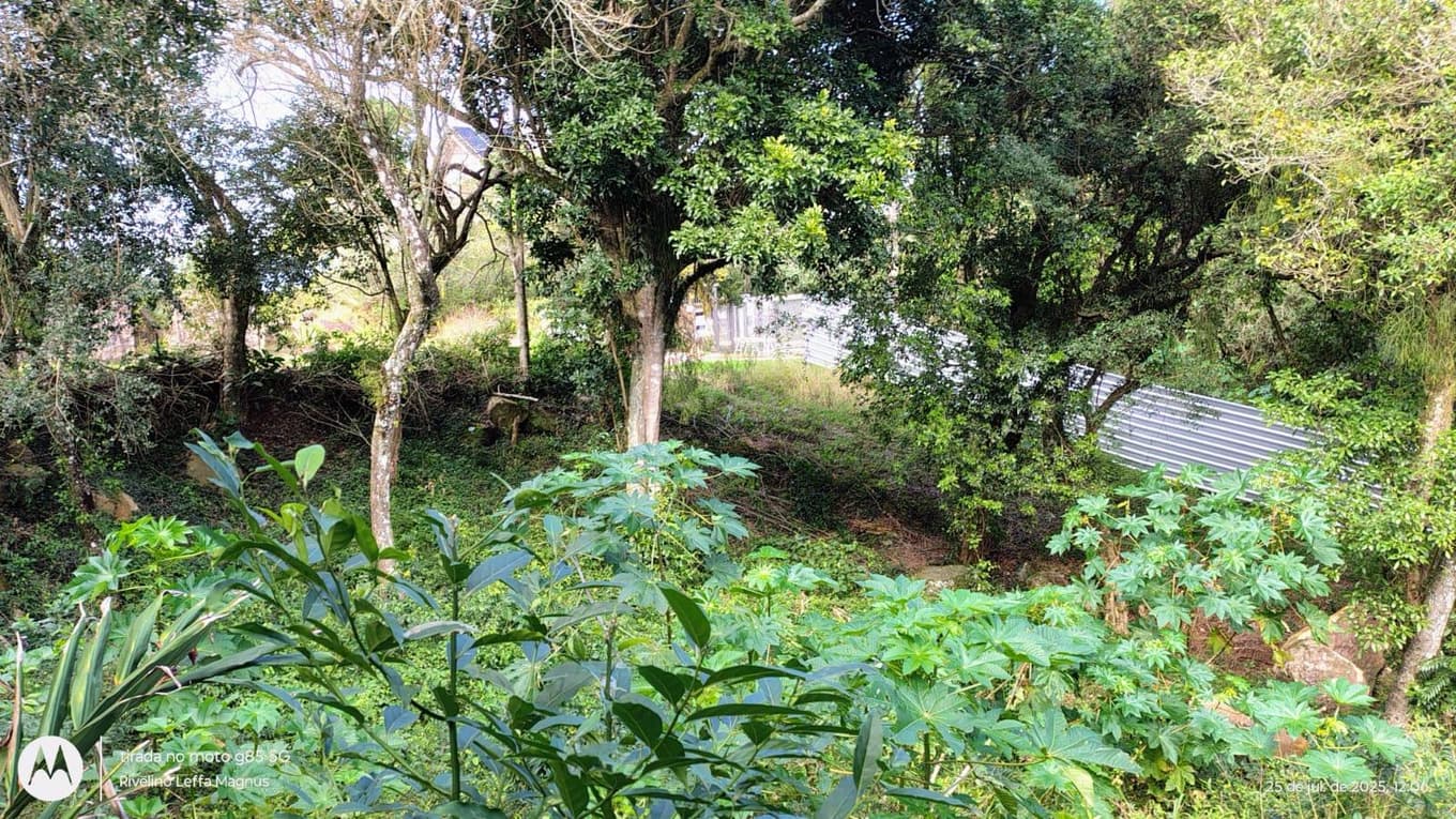 Terreno em leilão em Porto Alegre - RS, bairro Vila Nova — Terreno Residencial 403m² Desocupado no Bairro Vila Nova em Porto Alegre/RS - Desocupado