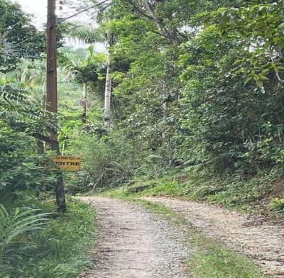 Foto 2 de 5: Terreno em leilão em Matinhos - PR — Terreno Urbano, A.T. 480m², Lote 9 - Qd 131, Balneário Caiobá