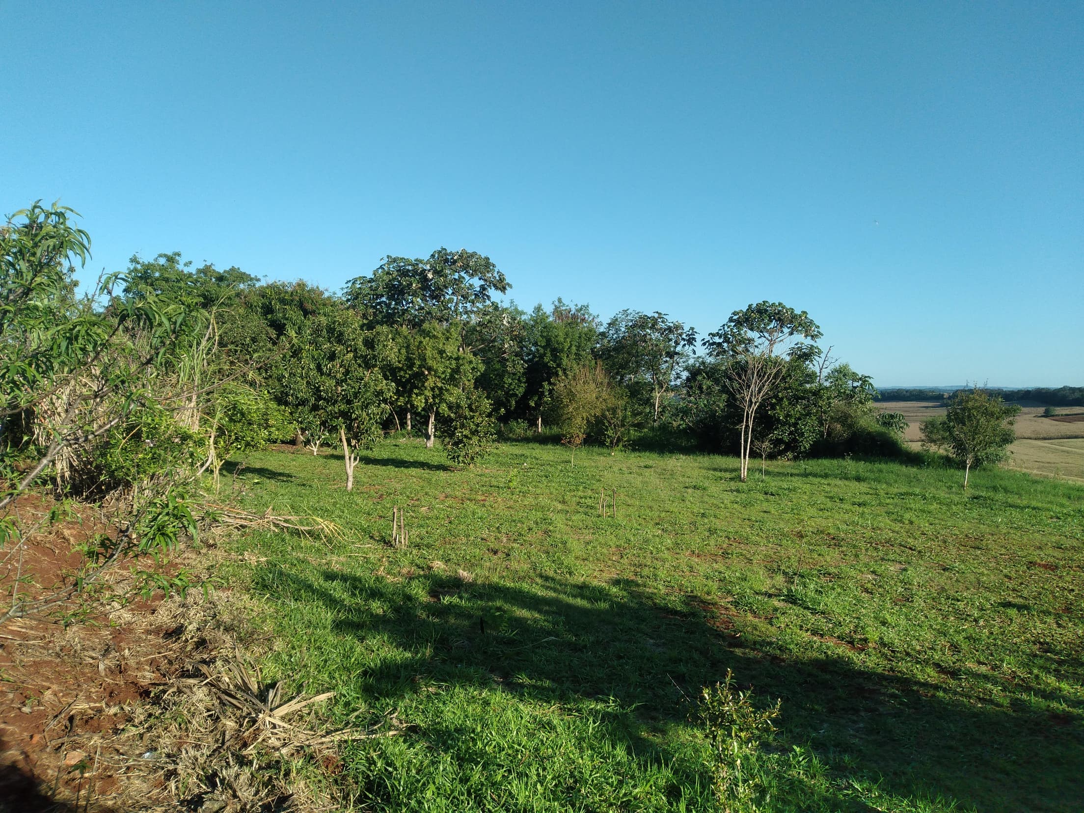 Foto 38 de 41: Area Rural em leilão em Capitão Leônidas Marques - PR — Gleba Urbana Desocupada 27.837m2 no Bairro São Gabriel em Capitão Leonidas Marques/PR