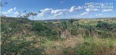 Foto 5 de 8: Area Rural em leilão em Tuntum - MA — IMÓVEIS RURAIS PECUÁRIA | A.T. 66,69 HA | TUNTUM/MA