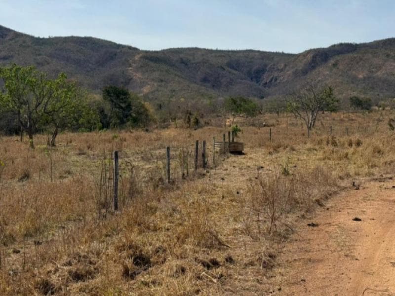 Foto 20 de 30: Area Rural em leilão em Buritis - MG — Fazenda, 143.77 ha, Buritis / MG
