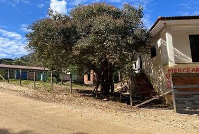 Foto 10 de 11: Area Rural em leilão em Rio Branco Do Sul - PR — Direitos possessórios da parte ideal de 50% do IMÓVEL RURAL na Estrada principal do Pernambuco em Rio Branco do Sul/PR