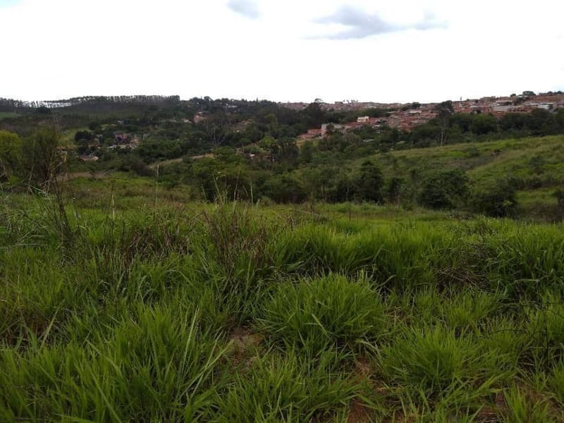 Foto 9 de 15: Terreno em leilão em Limeira - SP — Lote, Desocupado, Limeira / SP
