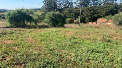 Terreno em leilão em Terra Roxa - PR — Lote de Terreno Urbano com Área Total de 250,00m², em Terra Roxa/PR