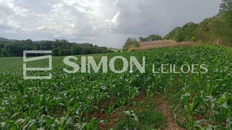 Foto 2 de 2: Area Rural em leilão em Nova Esperança Do Sudoeste - PR — Lote Rural nº. 60-A (sessenta-A) da Gleba nº. 46-FB (quarenta e seis-FB), do núcleo de Francisco Beltrão, da Colônia Missões, na Comunidade Rio Varanda, s/nº, Zona Rural do Município de Nova Esperança