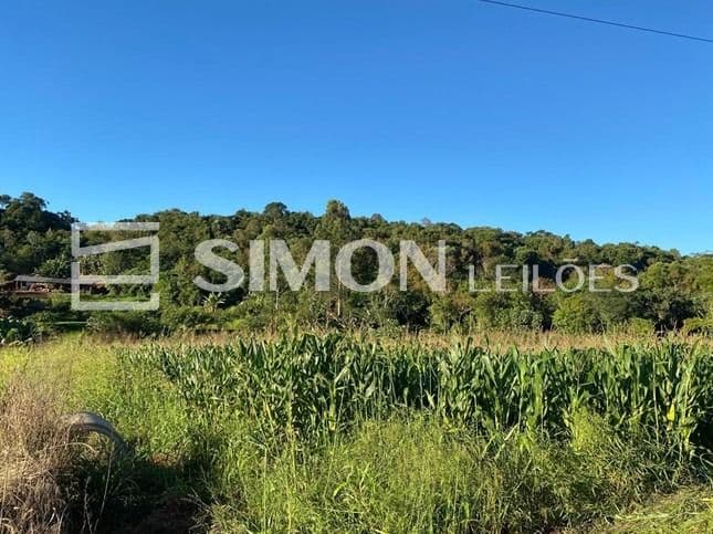 Foto 5 de 8: Terreno em leilão em Nova Prata Do Iguaçu - PR, bairro Linha Alto Bela Vista — Lote de Terra Rural n° 11 (Onze), da Gleba n° 96-FB (noventa e seis- FB), do núcleo de Francisco Beltrão, da Colônia Missões, se localiza na Linha Alto Bela Vista, no Município de Nova Prata do Iguaçu